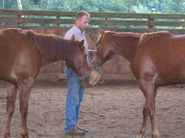 Chunky Gal Stables offers horse training and lessons as well as trail rides.